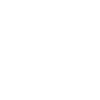 icon1